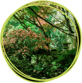 Japanese garden